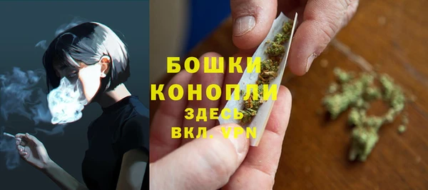 стаф Каменск-Шахтинский