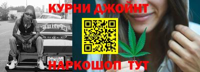 гидропоника Дубна
