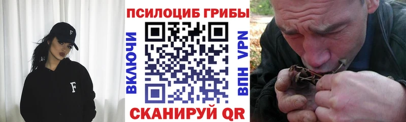 ссылка на мегу онион  Биробиджан  Псилоцибиновые грибы мухоморы 