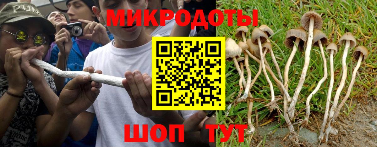 Биробиджан  Галлюциногенные грибы ЛСД  Вход с VPN 