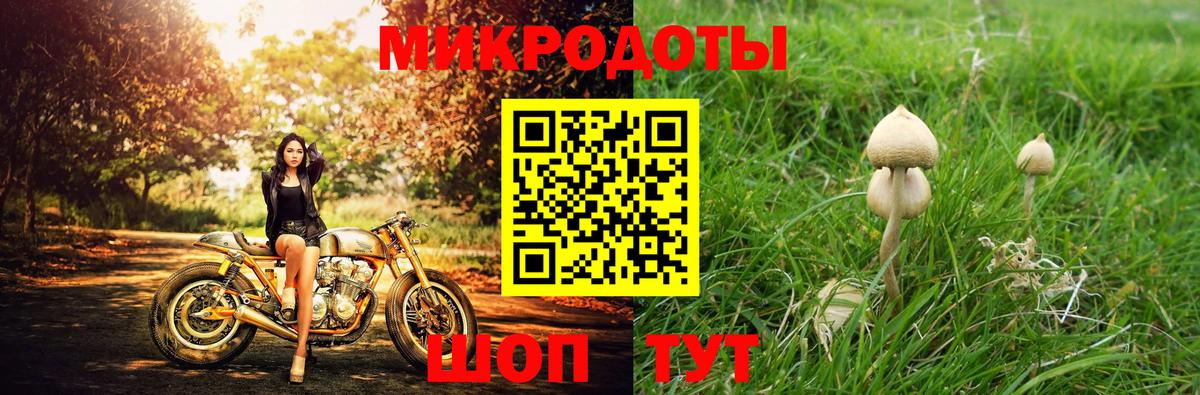 Каннабис Биробиджан