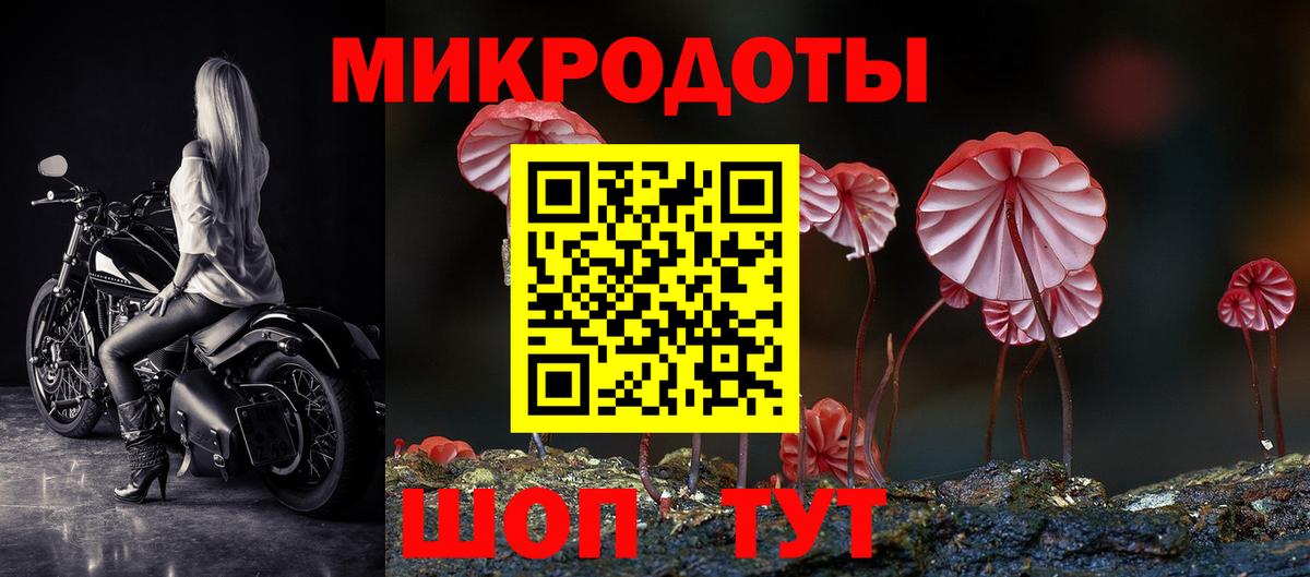 Псилоцибиновые грибы Cubensis Биробиджан